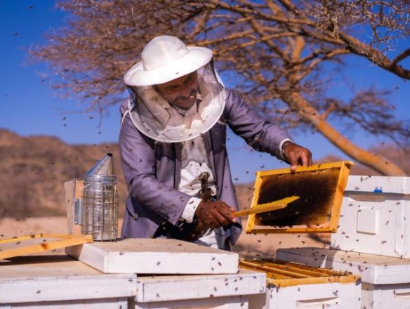 La UE importó 6,6 veces más de miel de países terceros que lo que logró exportar en 2023