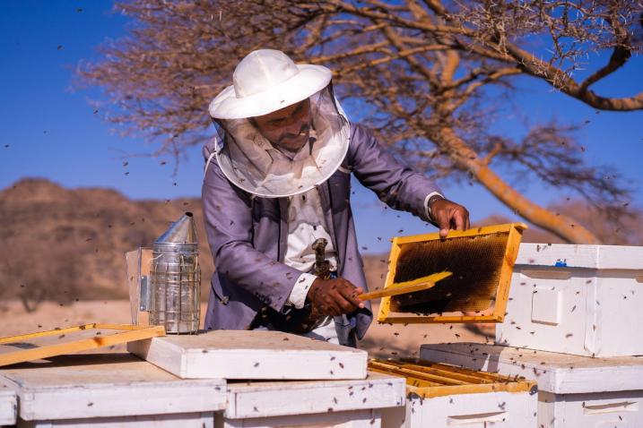 La UE importó 6,6 veces más de miel de países terceros que lo que logró exportar en 2023