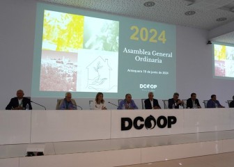 El Grupo Dcoop bate récord de exportación en 2024 superando los 914 millones de euros
