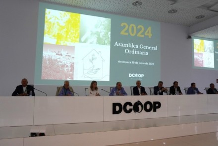 El Grupo Dcoop bate récord de exportación en 2024 superando los 914 millones de euros