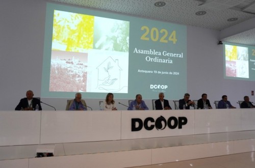 El Grupo Dcoop bate récord de exportación en 2024 superando los 914 millones de euros