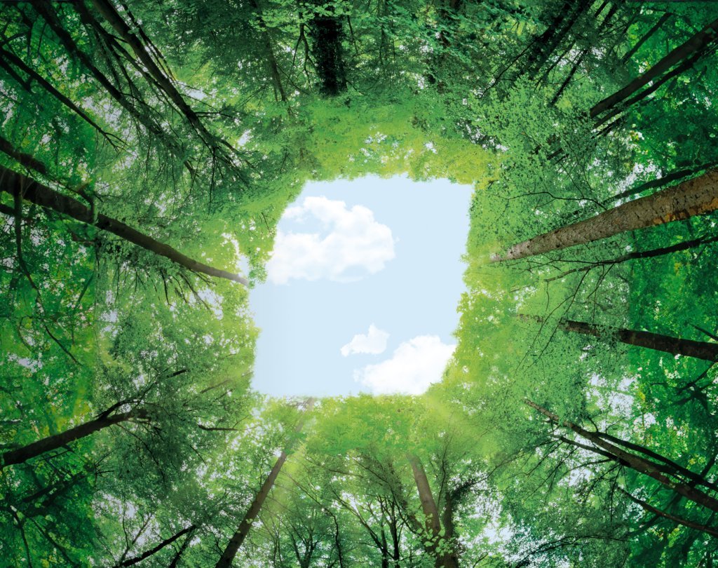 BKT se incorpora a la Plataforma Global para el Caucho Natural Sostenible