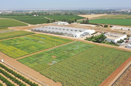 Simbiose y Corteva lanzan en Europa una tecnología biológica para la solubilización de fósforo en cultivos