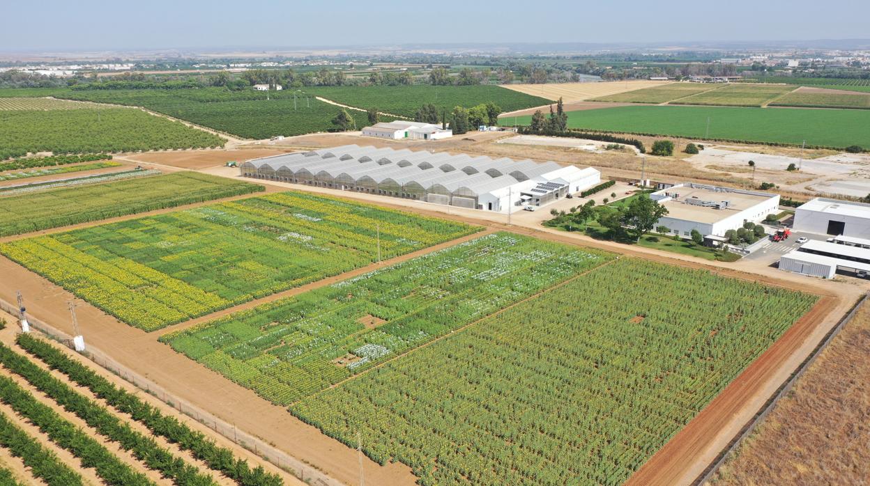 Cinco años de la fusión de Dow, DuPont y Pioneer en Corteva