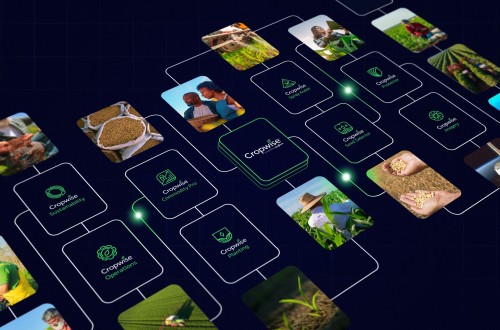La plataforma de agricultura digital Cropwise de Syngenta, ya disponible en España