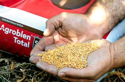 Es hora de actuar contra la importación comunitaria de fertilizantes rusos. Por Fertilizers Europe