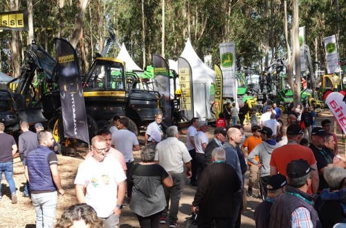 Arranca una nueva edición de Galiforest Abanca con cifras récord