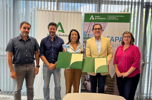 Acuerdo de colaboración entre Ifapa y Anove en materia de innovación y desarrollo tecnológico