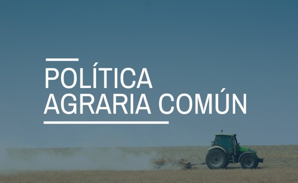 España se une a otros 19 países comunitarios para pedir una PAC «autónoma, independiente y estratégica»