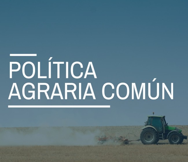 España se une a otros 19 países comunitarios para pedir una PAC «autónoma, independiente y estratégica»