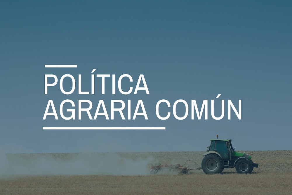 Los pagos de las ayudas directas de la PAC de la campaña 2023 alcanzan los 4.833 millones