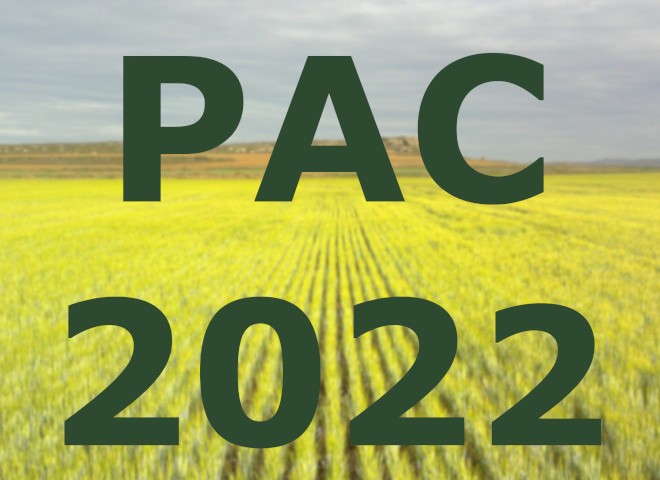 PAC_2022