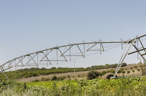 Los regantes piden al Gobierno que prorrogue la doble tarifa eléctrica más allá del 30 de junio