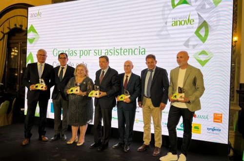 Sevilla acoge la primera edición de los Premios Anove
