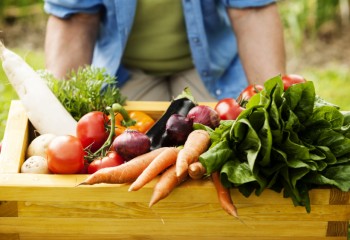 España se consolida como primer país europeo en superficie de producción ecológica, con casi tres millones de hectáreas