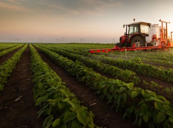 El Ministerio de Agricultura destina 5,7 millones a 33 proyectos de formación para el sector agroalimentario y forestal