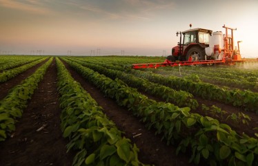 La agricultura lidera el crecimiento del PIB en 2024 con una subida del 8,3%