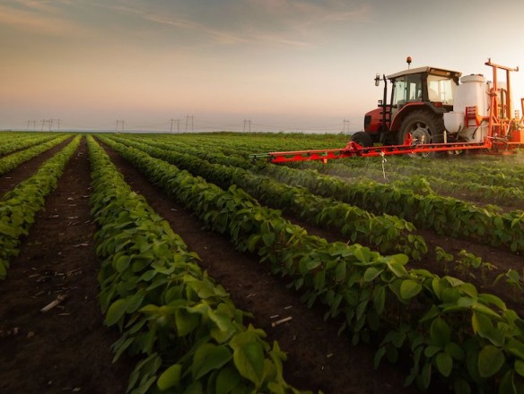 Los precios de producción agrícola en la Unión Europea, aumentaron un 2,6% en el primer trimestre de 2025