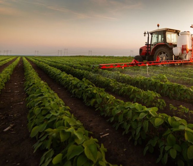 El Ministerio de Agricultura destina 5,7 millones a 33 proyectos de formación para el sector agroalimentario y forestal