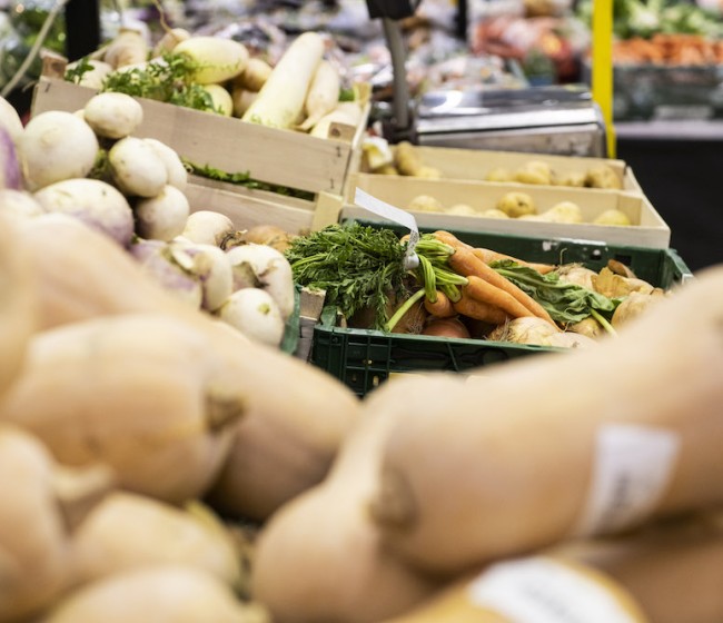 La clave para alimentar al mundo y frenar las emisiones está en mejorar la productividad agrícola, según la FAO