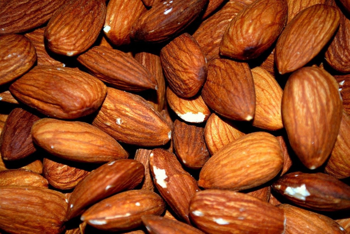 La cadena de valor de la almendra consensúa actualizar las normas de recepción de este fruto seco
