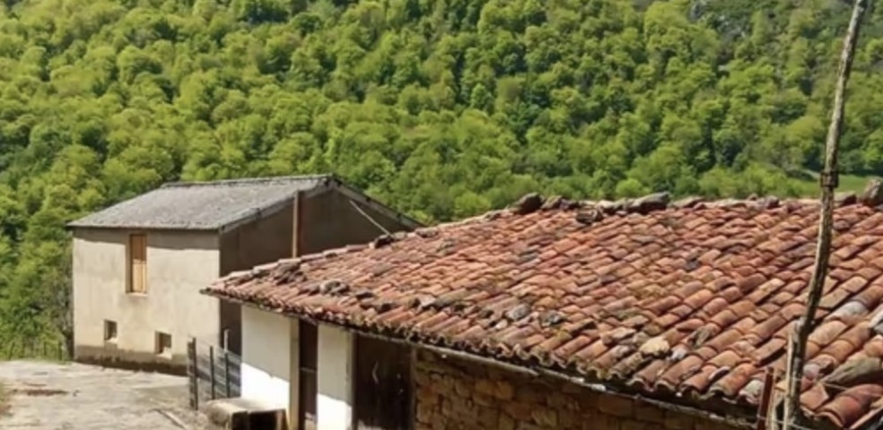 asturias_finca_agricultura_ganaderia_abandono