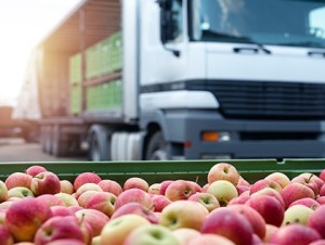 comercio_alimentos_