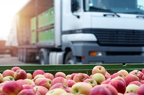 La producción de la industria alimentaria aumentó un 3% en enero