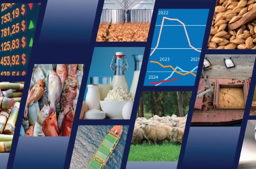 Perspectivas 2024/25: la FAO prevé calma relativa en la mayoría de los mercados mundiales agroalimentarios