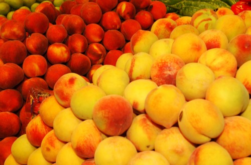 La producción de fruta de hueso aumentará un 10% respecto a 2023