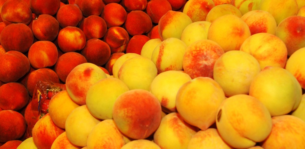 fruta_hueso