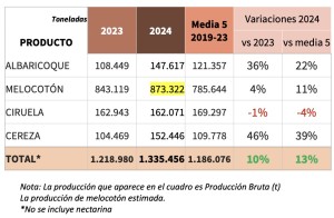 fruta_hueso_1