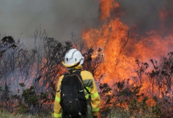 El MAPA inicia el pago de 27,8 millones para agricultores y ganaderos afectados por los incendios de este verano