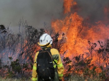 UPA reclama medidas urgentes y su inclusión en el Pacto de Estado frente a los incendios