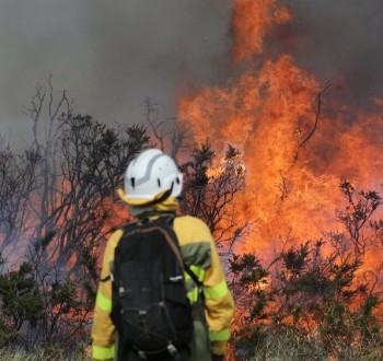 UPA reclama medidas urgentes y su inclusión en el Pacto de Estado frente a los incendios