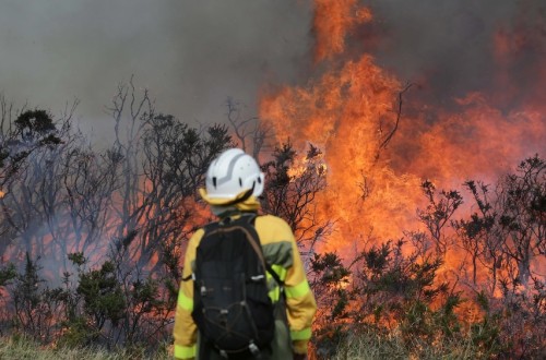 UPA reclama medidas urgentes y su inclusión en el Pacto de Estado frente a los incendios