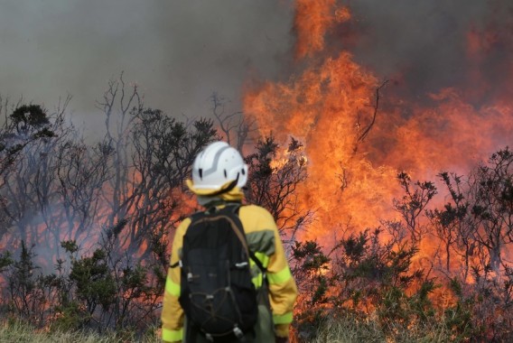 UPA reclama medidas urgentes y su inclusión en el Pacto de Estado frente a los incendios