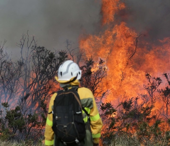 Cajamar habilita una línea de financiación de 20 millones para los incendios de Castilla y León y otras comunidades