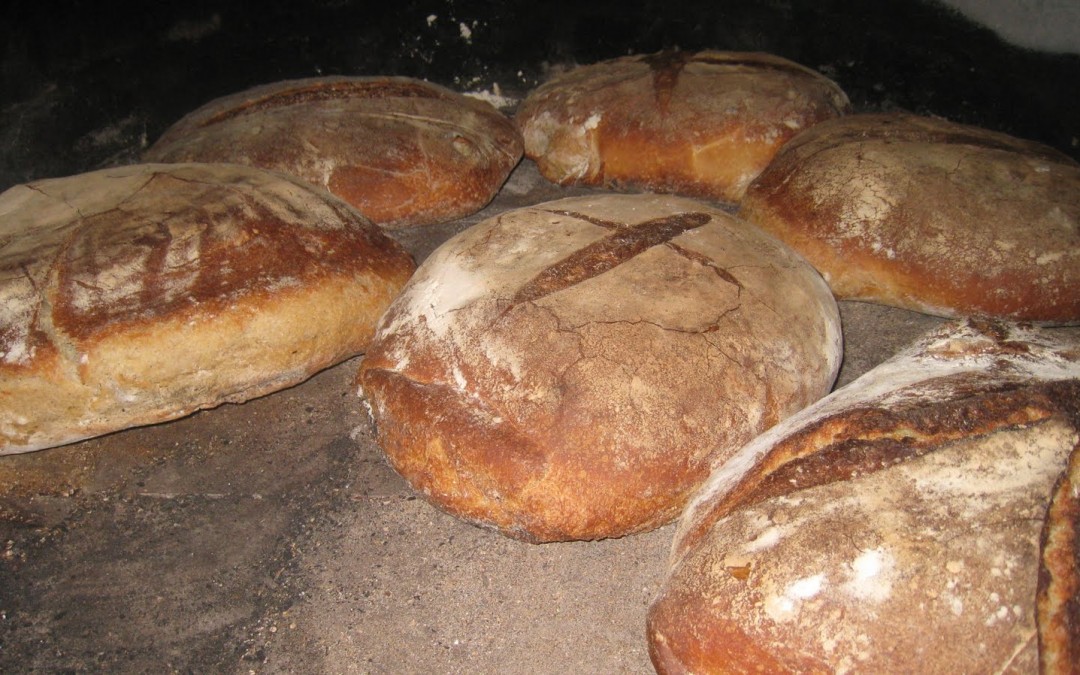 El consumo de pan ralentiza su descenso. Por Silvia Martín.