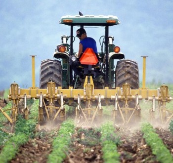 El PIB agrícola subió un 8,2% en el primer trimestre de 2025