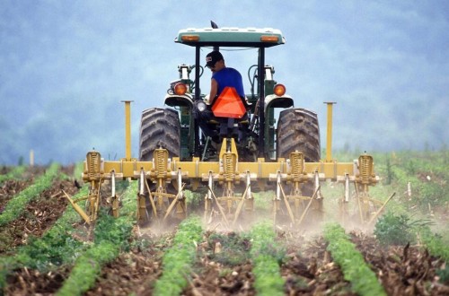 El paro en la agricultura baja un 12,81% anual en marzo