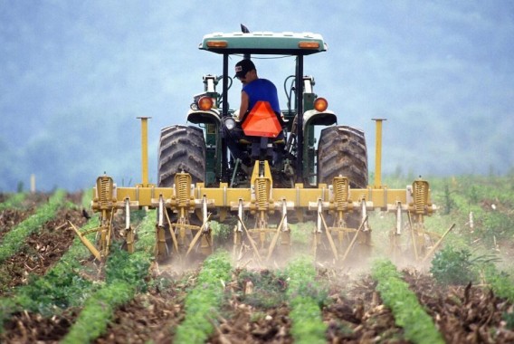 El PIB agrícola subió un 8,2% en el primer trimestre de 2025
