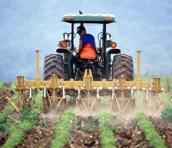 El paro en agricultura baja un 3,92% en abril y la afiliación sube un 2,84%