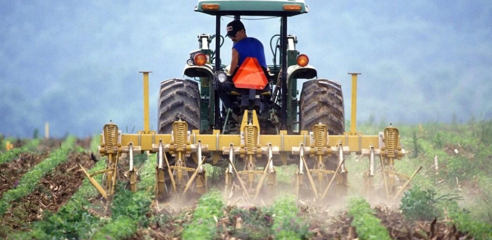 paro_empleo_agricultura