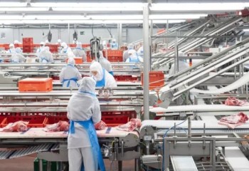 La producción de alimentos y bebidas aumenta un 3,5% en tasa anual