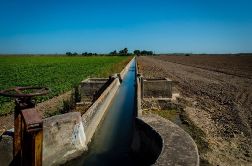 El MAPA inicia obras de modernización de regadíos en las marismas del Guadalquivir por 77,7 millones