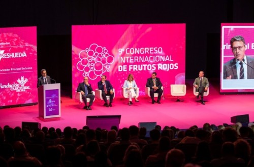 La exportación española de frutos rojos en valor marca un máximo histórico de 868 M€ hasta marzo