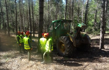 Innovaciones aplicadas en tractores especiales para el aprovechamiento forestal maderero