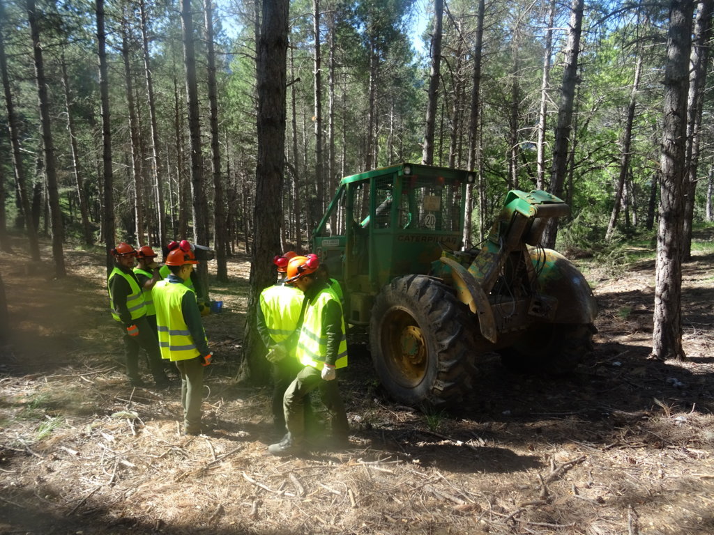 Innovaciones aplicadas en tractores especiales para el aprovechamiento forestal maderero