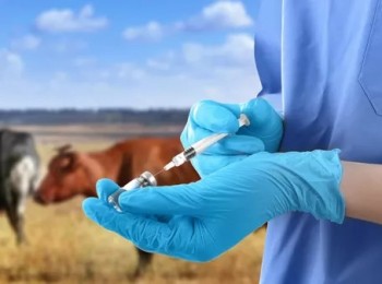 El MAPA abre diálogo con veterinarios y farmacéuticos para mejorar la aplicación del sistema Presvet